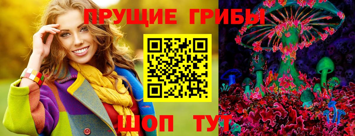 Галлюциногенные грибы прущие грибы Камышлов